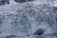 Top Alaska Cruise Highlights: What to See and Do on Your Voyage