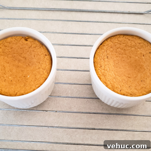 Keto Pumpkin Spice Cottage Cheesecake Recipe for Fall Desserts 2 Quick Keto Individual Pumpkin Spice Cottage Cheesecake