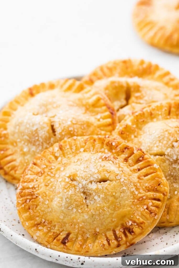 Homemade Apple Hand Pies Recipe with Flaky Crust 6 apple hand held pies on a plate
