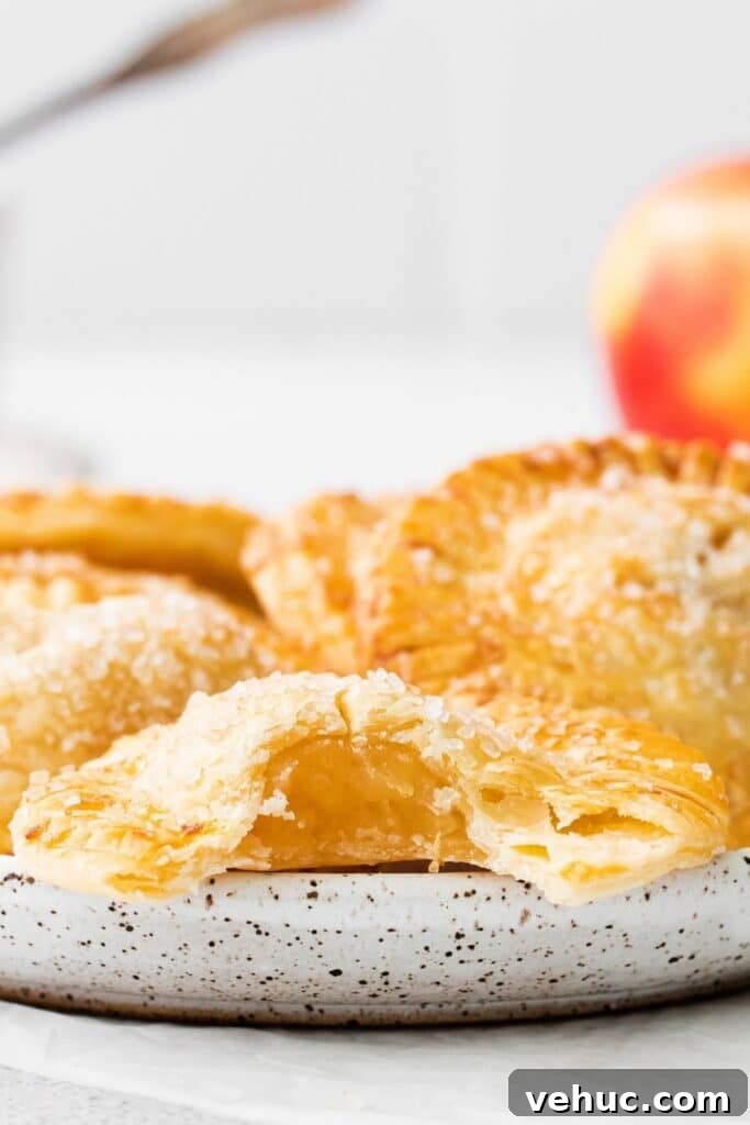 Homemade Apple Hand Pies Recipe with Flaky Crust 7 hand held apple pies