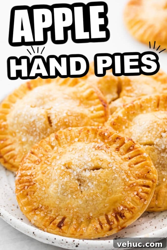 Homemade Apple Hand Pies Recipe with Flaky Crust 9 hand pies