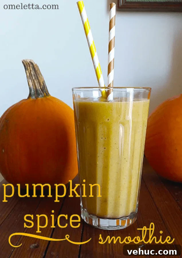 Creamy Banana Pumpkin Spice Smoothie Recipe for Fall 2 fre