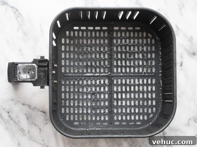 air fryer basket