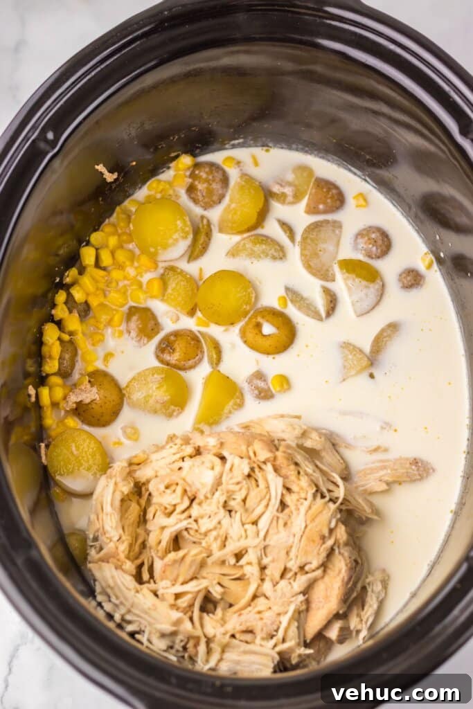Slow Cooker Creamy Chicken and Corn Chowder Recipe 7 Chicken and cream being added to a crockpot.
