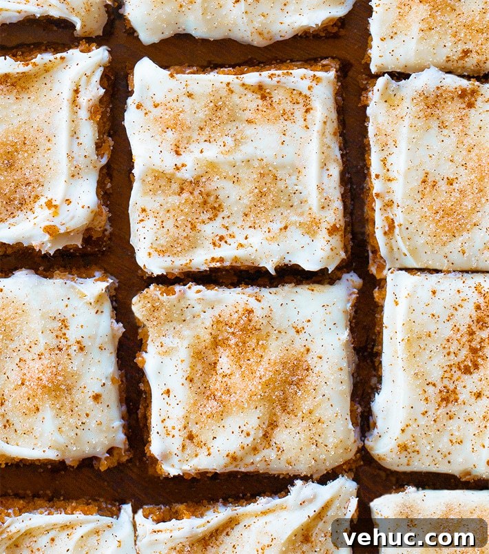 Vegan Snickerdoodle Blondie Bar Recipe Vegan Snickerdoodle Blondie Bar Recipe