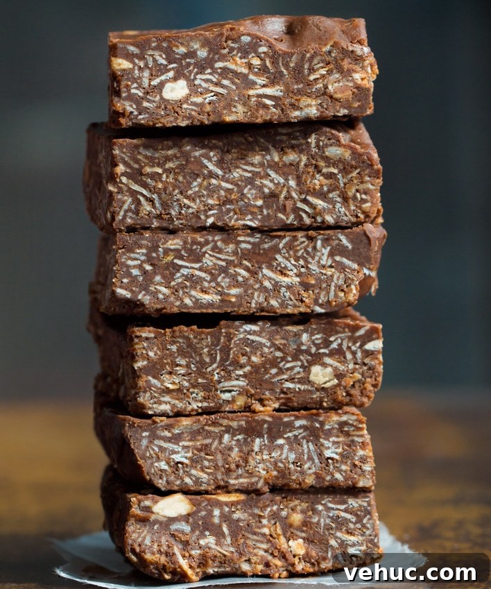 Chewy Snickerdoodle Blondies Recipe for Cinnamon Lovers 6 No Bake Chocolate Oatmeal Bar Recipe