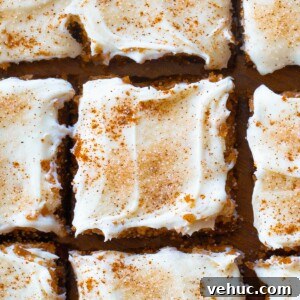 Chewy Snickerdoodle Blondies Recipe for Cinnamon Lovers 4 Snickerdoodle Blondies