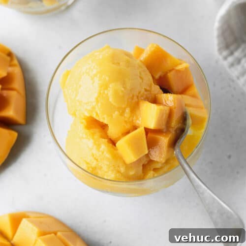 Scoops of mango lime sorbet in a glass