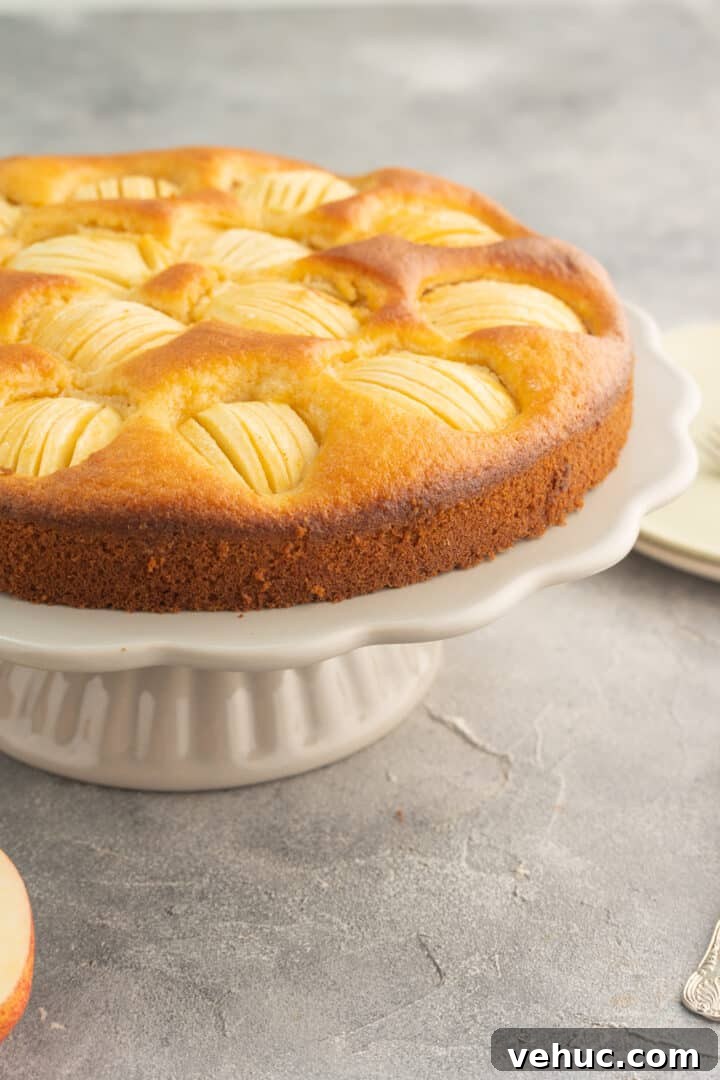 apple cake