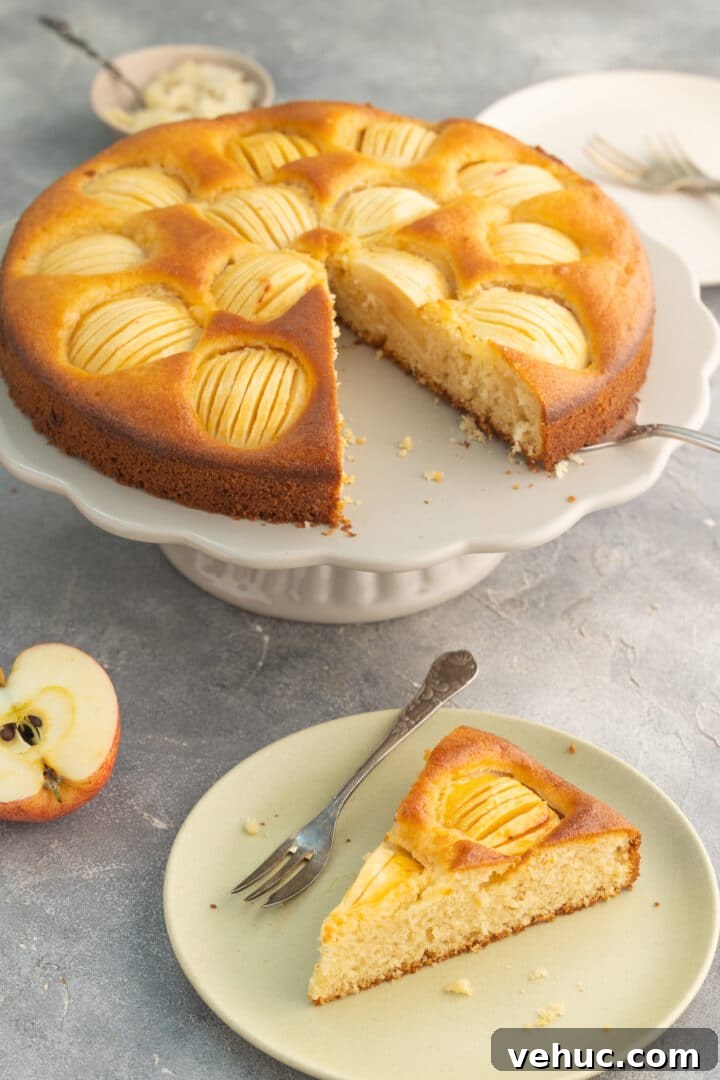 apple cake with piece