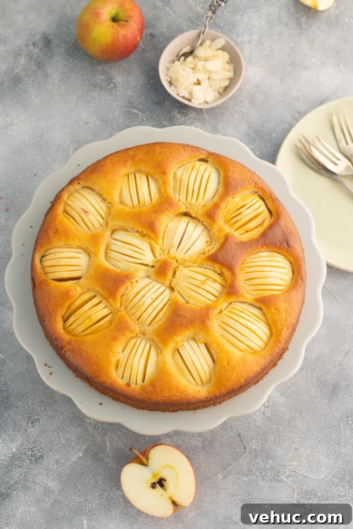 apple cake from top