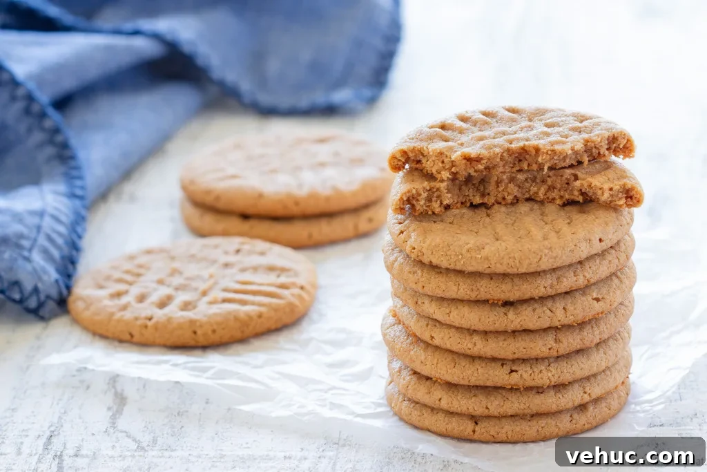 kraft peanut butter cookies
