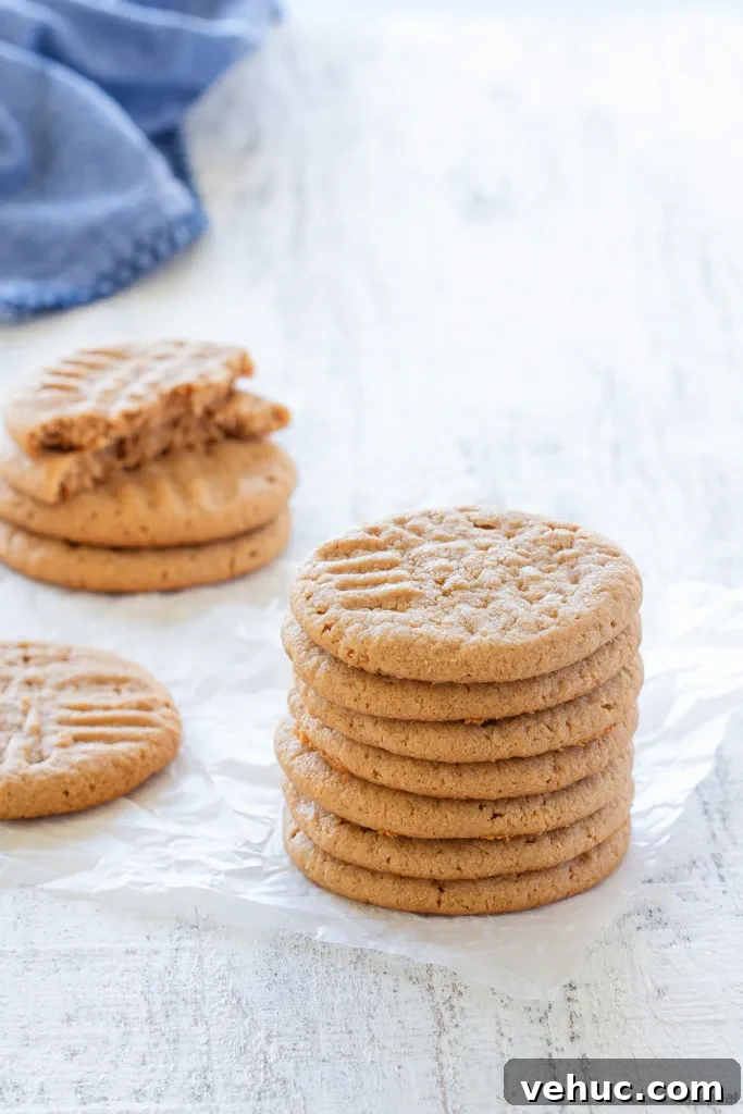 kraft peanut butter cookies