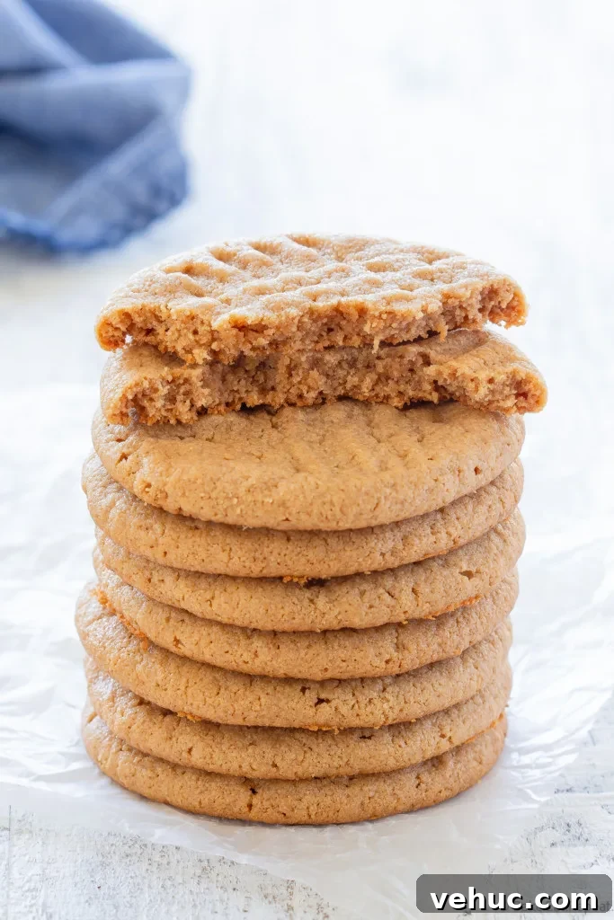 kraft peanut butter cookies