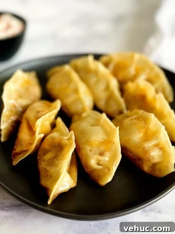 taco dumplings
