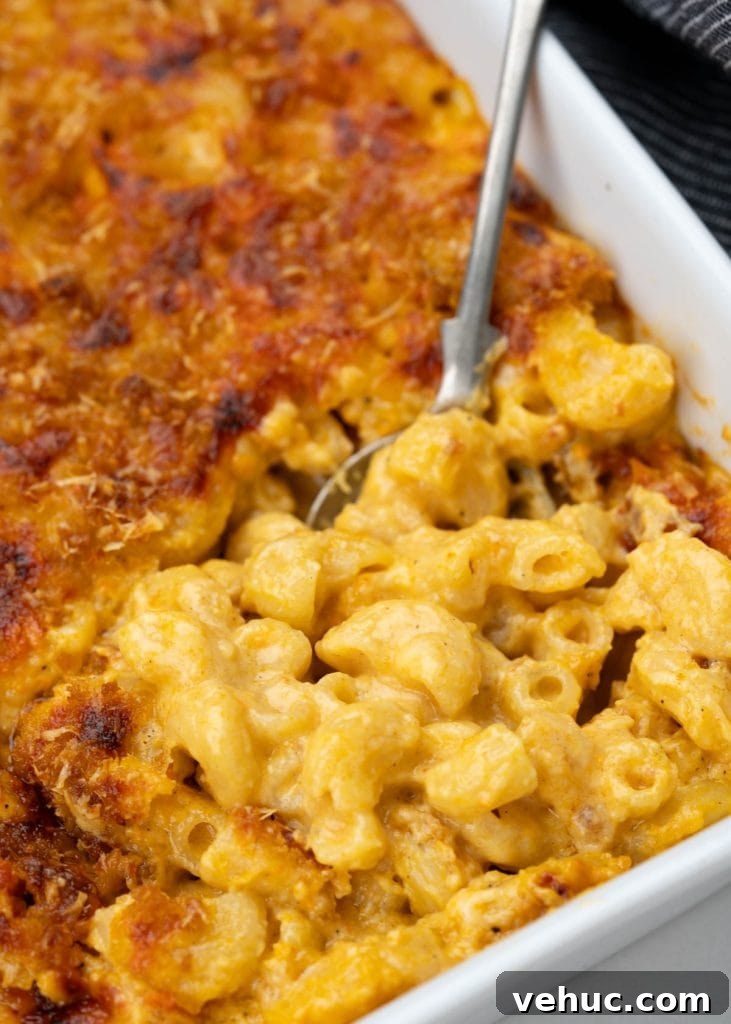 Creamy Chicken and Zucchini Casserole for Weeknight Dinner 12 img 123451 11