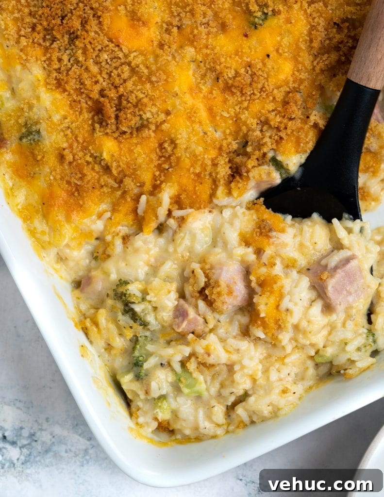 Creamy Chicken and Zucchini Casserole for Weeknight Dinner 8 Corner of the casserole showing golden brown crust and underneath that a creamy mix of rice, ham, and broccoli.