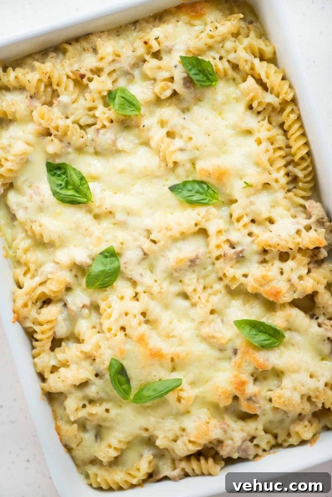 Creamy Chicken and Zucchini Casserole for Weeknight Dinner 10 img 123451 9