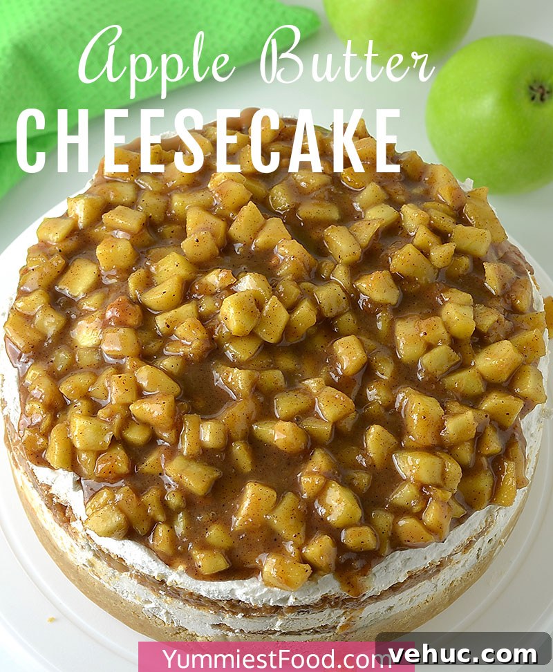 Apple Butter Cheesecake Recipe with Spiced Caramel Topping 2 Apple Butter Cheesecake