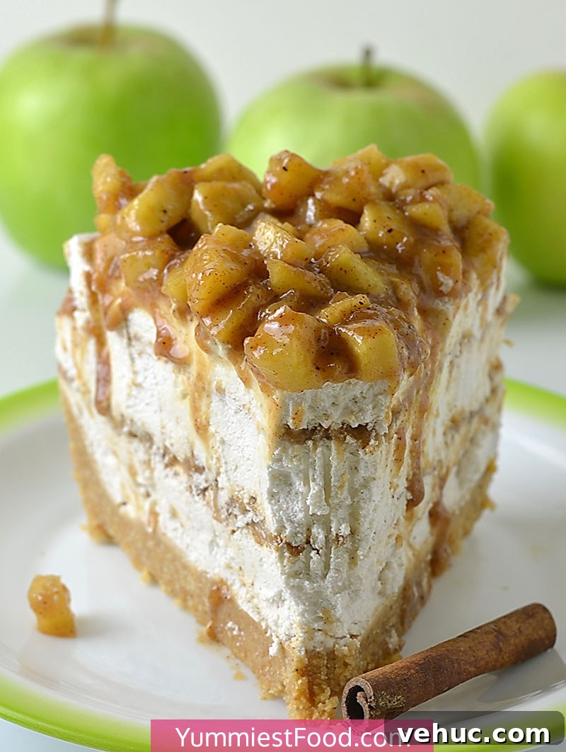 Apple Butter Cheesecake Recipe with Spiced Caramel Topping 4 Cheesecake