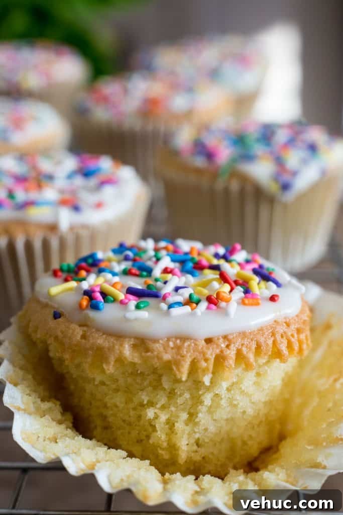 Gluten-Free Fairy Cakes Recipe: Light, Fluffy Mini Cupcakes 4 close up of a fairy cake