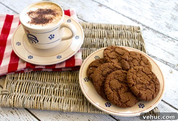 Soft Chewy Ginger Cookies Recipe with Molasses and Spices 2 gingercookies4