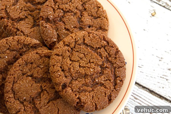 Soft Chewy Ginger Cookies Recipe with Molasses and Spices 3 gingercookies3