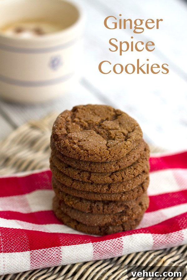 Soft Chewy Ginger Cookies Recipe with Molasses and Spices 4 gingercookiesn1