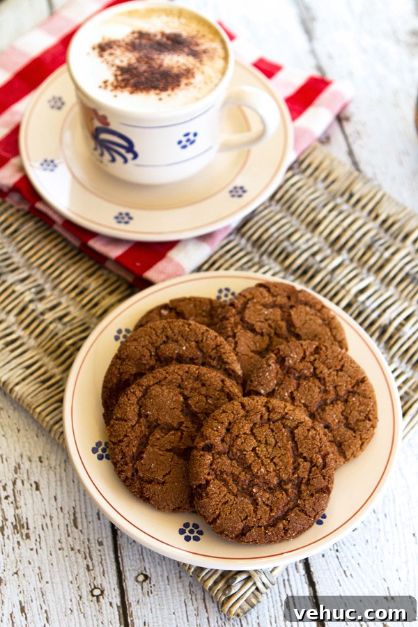 Soft Chewy Ginger Cookies Recipe with Molasses and Spices 5 gingercookies1