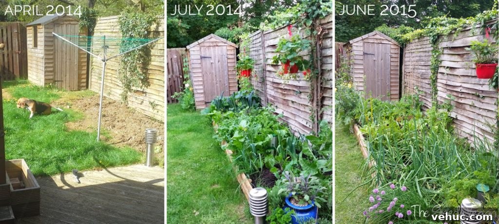 Garden Makeover Ideas: Transform Your Outdoor Space Quickly 12 garden makeover 015
