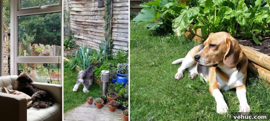 Garden Makeover Ideas: Transform Your Outdoor Space Quickly 13 garden makeover 014