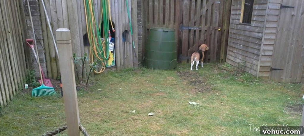 Garden Makeover Ideas: Transform Your Outdoor Space Quickly 3 garden makeover 002