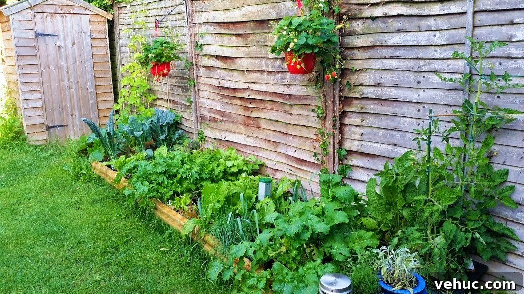 Garden Makeover Ideas: Transform Your Outdoor Space Quickly 6 img 1335 6