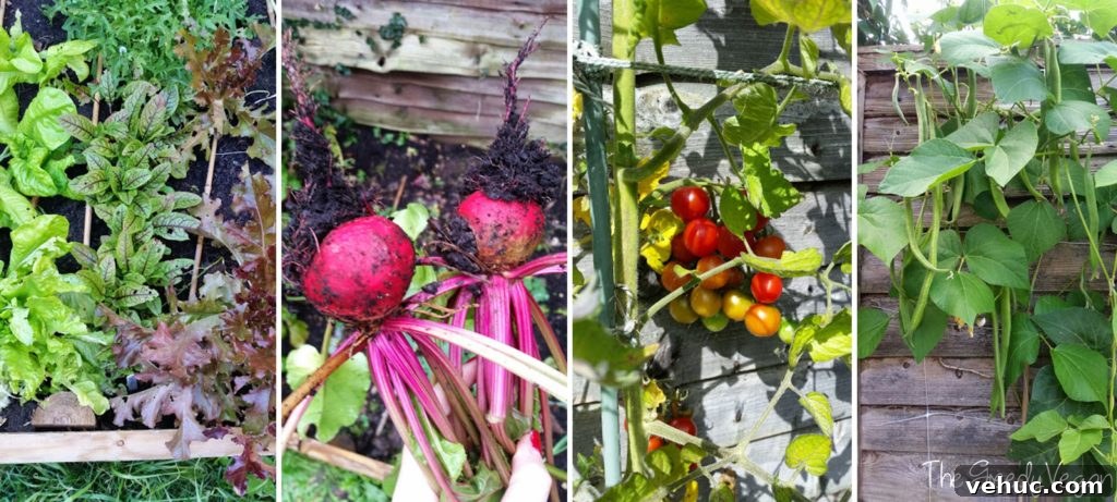 Garden Makeover Ideas: Transform Your Outdoor Space Quickly 7 garden makeover 007