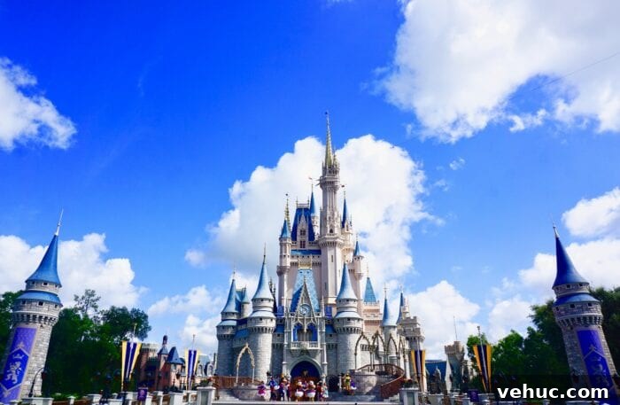 Disney World to Reopen With Mask-Free Relaxation Zones for Guests 3 img 133957 2