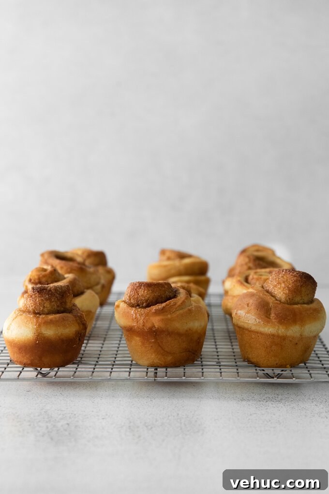 Cinnamon Roll Muffins: Soft Swirl Muffin Recipe for Breakfast 5 img 13977 8