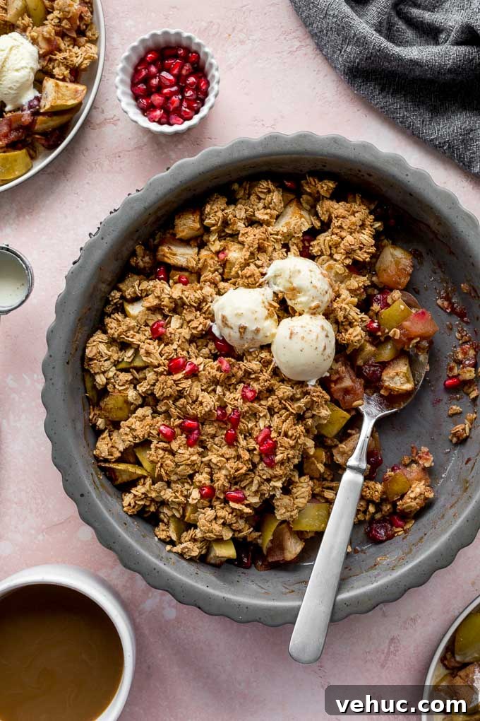 Apple Cranberry Crisp: Gluten-Free Vegan Recipe for Fall Dessert 2 Overhead view of an apple cranberry crisp topped with ice cream and scoops of crisp removed.