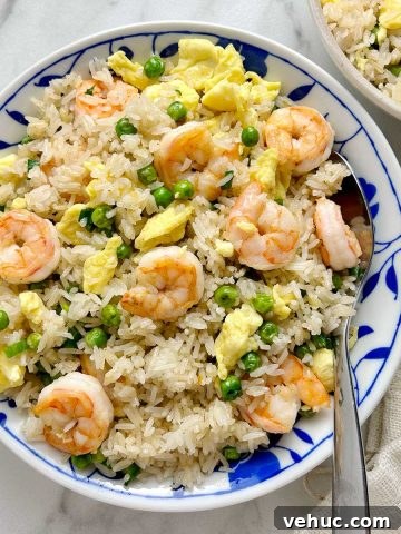 fried rice plated in ceramic bowl with spoon