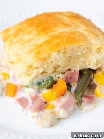 Ham and Vegetable Casserole with a Bisquick Layer on Top