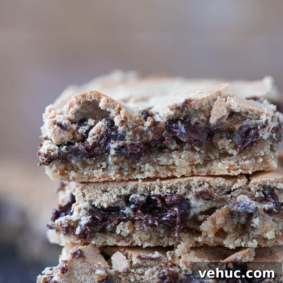 Chocolate Halfway Bars: Layered Chocolate Peanut Butter Snack Bars 5 Chocolate Halfway Bars interior details