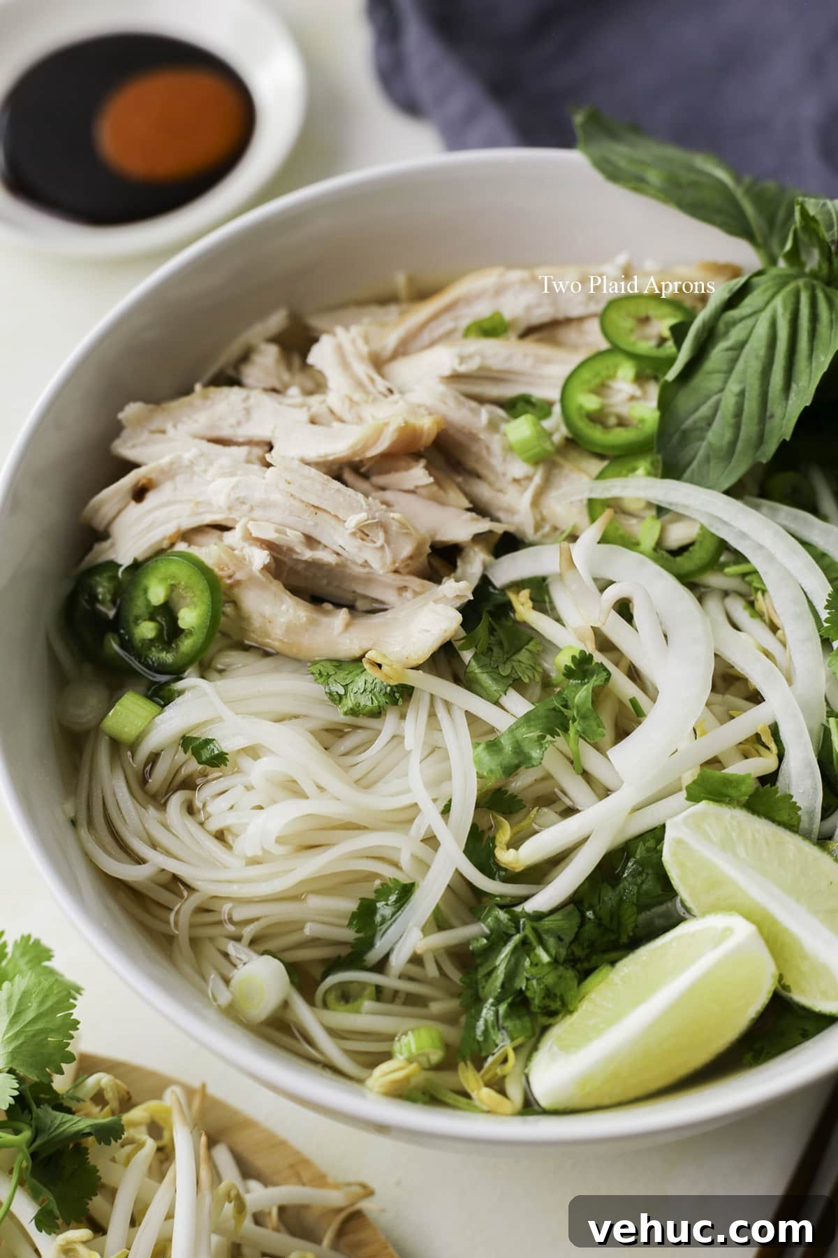 Rotisserie Chicken Pho Recipe: Quick Homemade Vietnamese Soup 2 img 14669 1