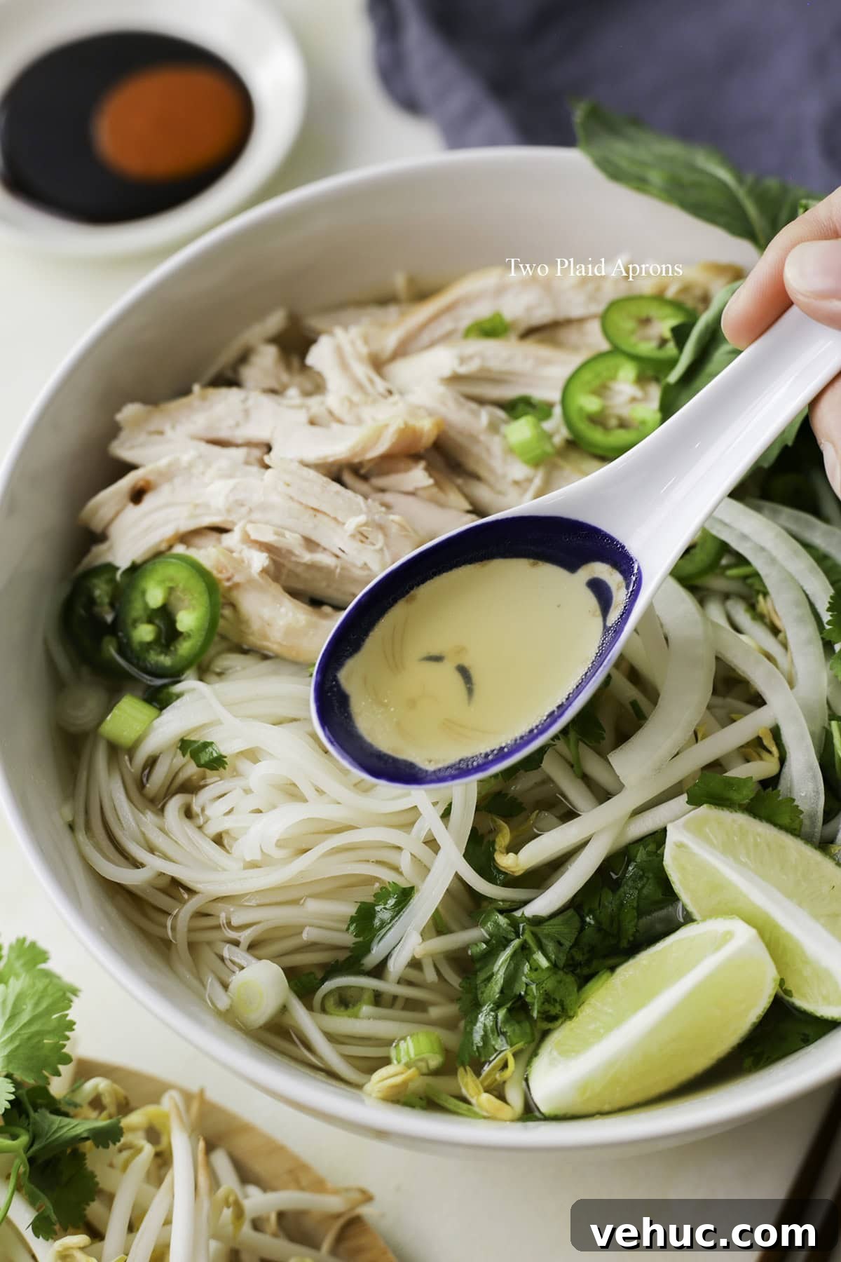 Rotisserie Chicken Pho Recipe: Quick Homemade Vietnamese Soup 16 img 14669 15