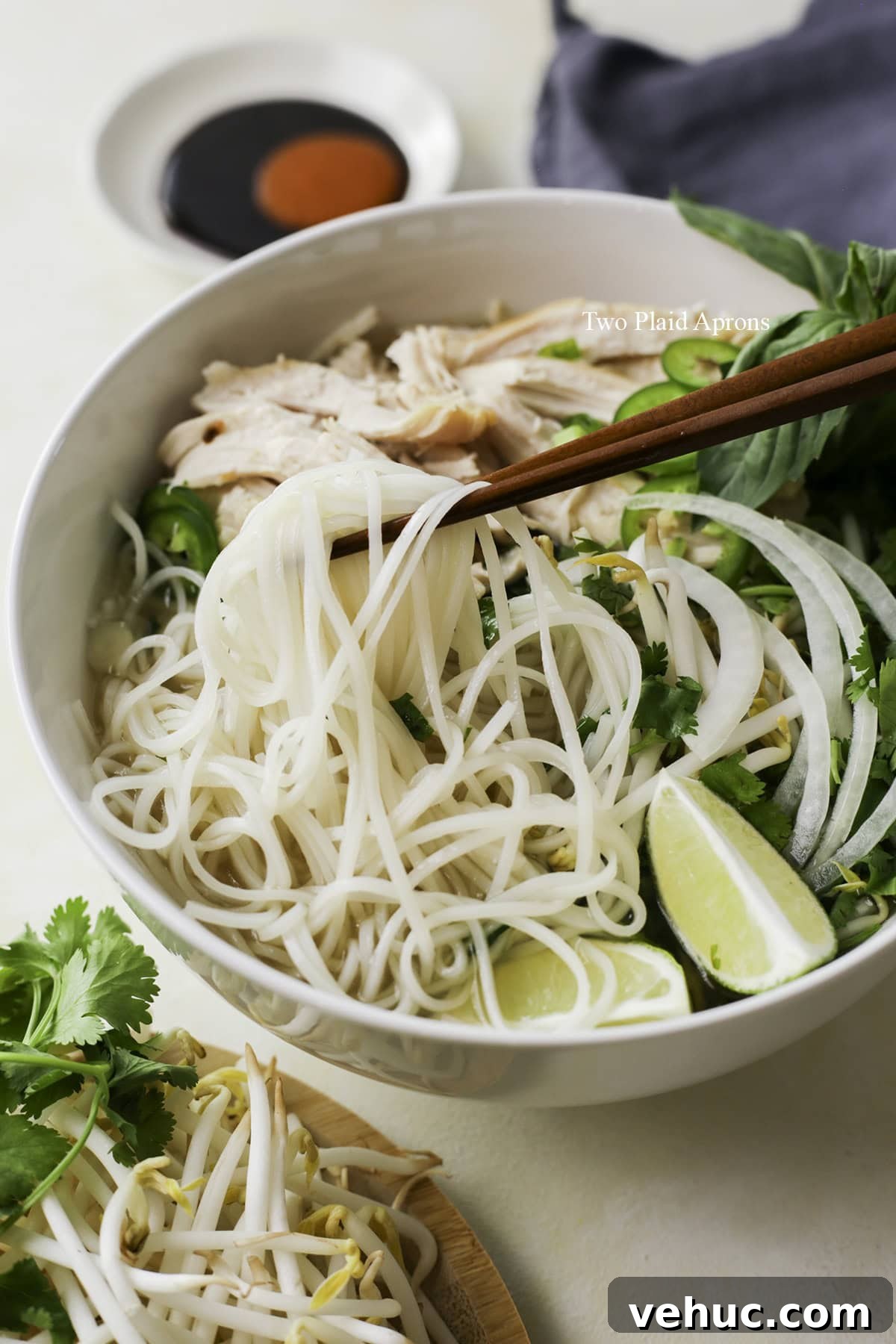Rotisserie Chicken Pho Recipe: Quick Homemade Vietnamese Soup 17 img 14669 16