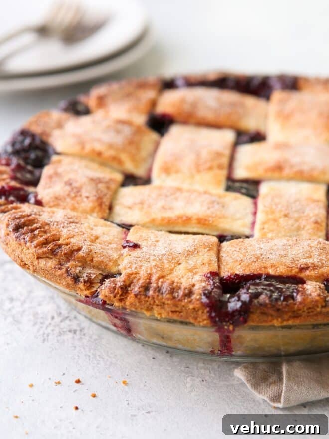 Cranberry Blueberry Pie Recipe with Flaky Homemade Crust 5 closeup of cranberry blueberry pie baked
