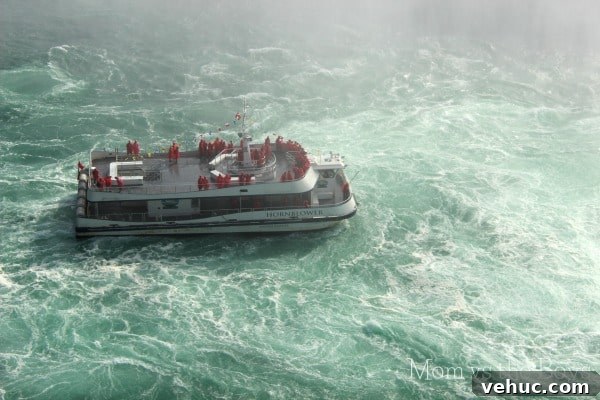 Niagara Falls: Views from Above, Below and Behind 2 hornblower close