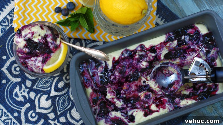 No Churn Blueberry Lemon Ice Cream Title