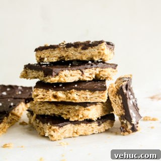 Chewy, healthy peanut butter oat bars with salted chocolate!