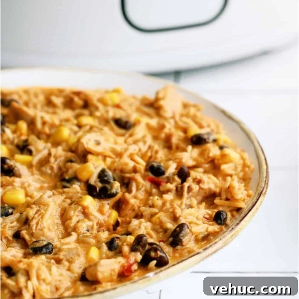 A bowl of Slow Cooker Southwest Chicken and Rice in front of a slow cooker
