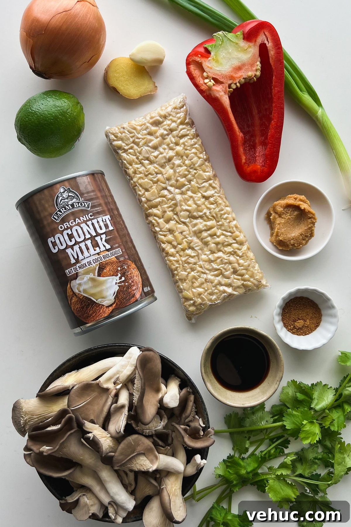 Miso Coconut Tempeh Bowl with Sticky Coconut Glaze 3 img 16813 2