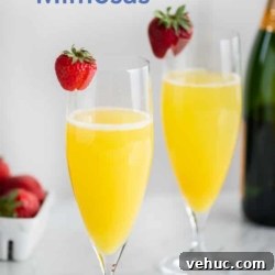 Classic Mimosa Cocktail Recipe: Sparkling Brunch Drink Guide 2 Mimosa Recipe with Sparkling Wine and Orange Juice | BestRecipeBox.com